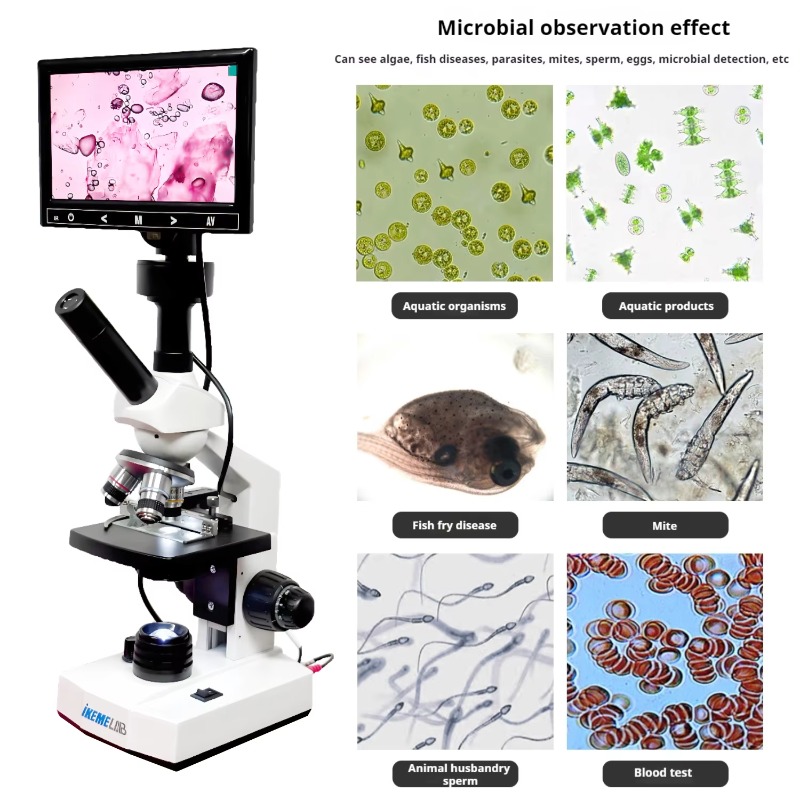 HD Screen Digital Microscope B - огляд і ціна Medical Lab Microscope