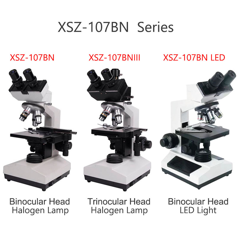 Xsz-107bn Electron Laboratory  - огляд і ціна Medical Lab Microscope