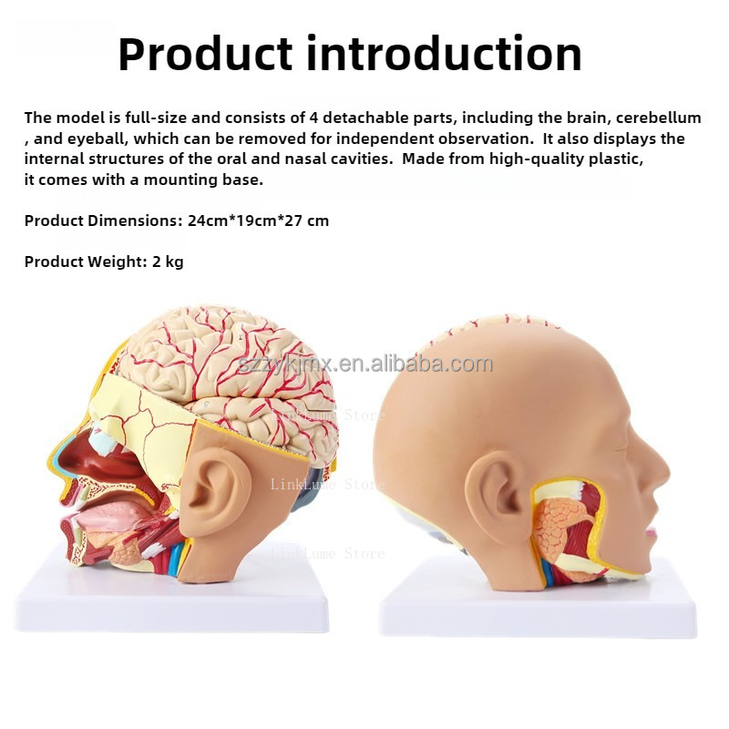 Medical Science Resource Human - огляд і ціна Medical Lab And Science