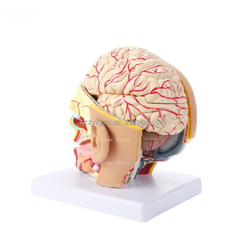 Medical Science Resource Human - огляд і ціна Medical Lab And Science