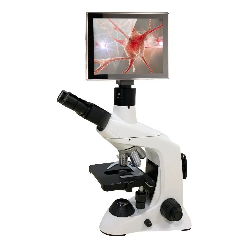 2026 New Stainless Steel Medic - огляд і ціна Medical Lab Microscope