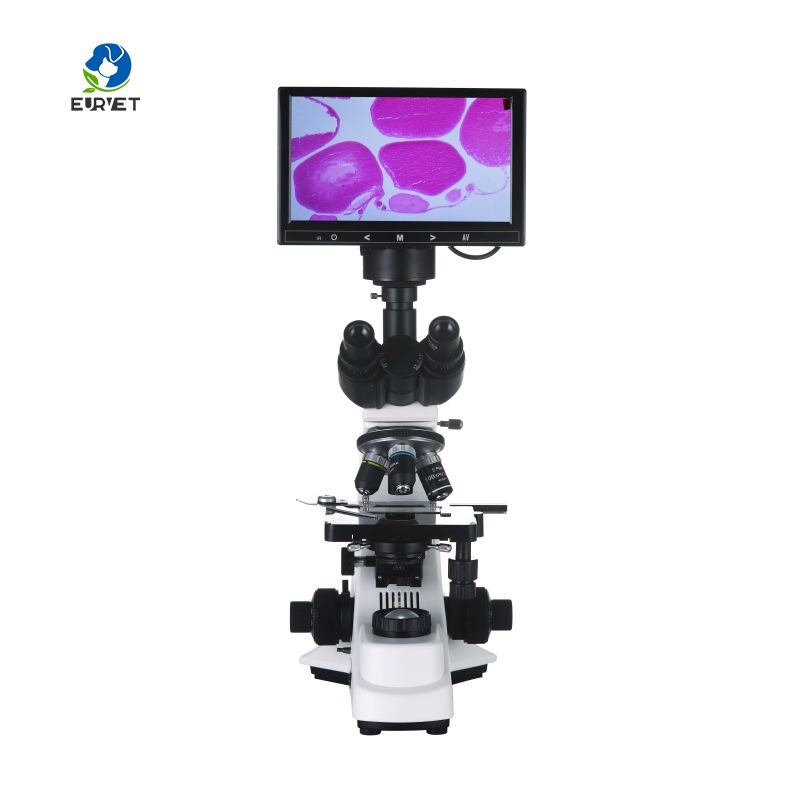 2026 Medical Lab Digital Biolo - огляд і ціна Medical Lab Microscope