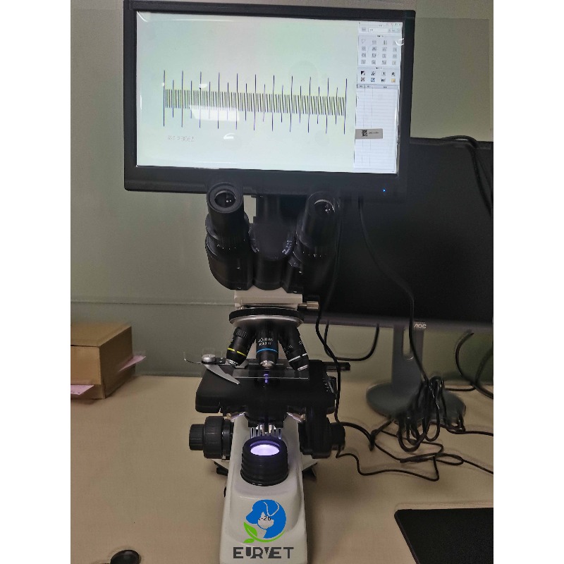 2026 Medical Lab Digital Biolo - огляд і ціна Medical Lab Microscope