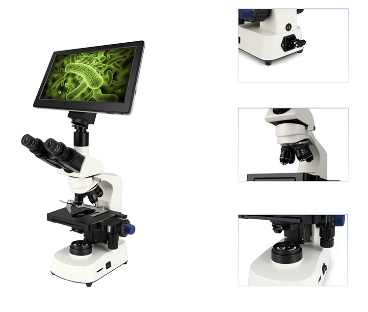HC-B079A Cheap Microscope Elec - огляд і ціна Medical Lab Microscope