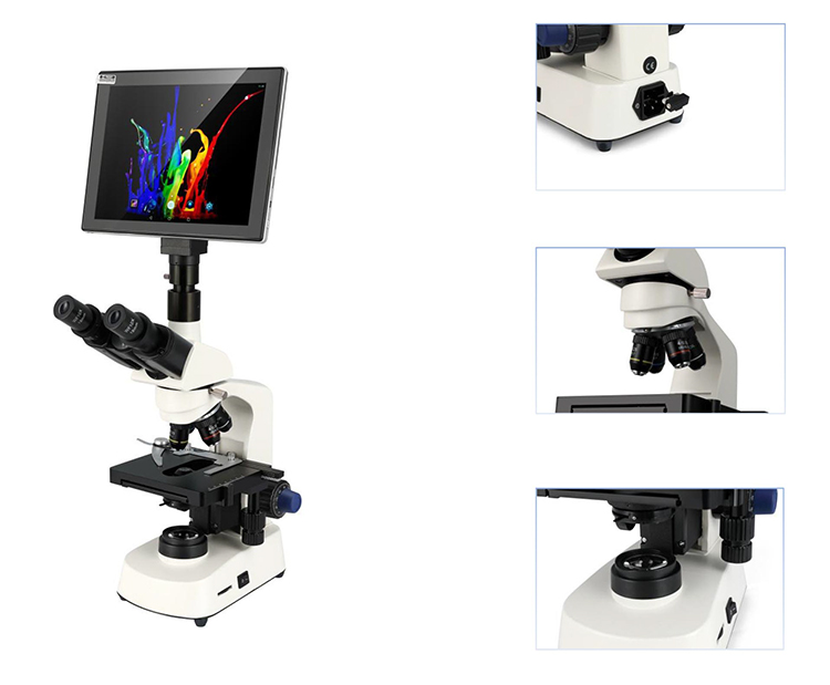 HC-B079A Cheap Microscope Elec - огляд і ціна Medical Lab Microscope