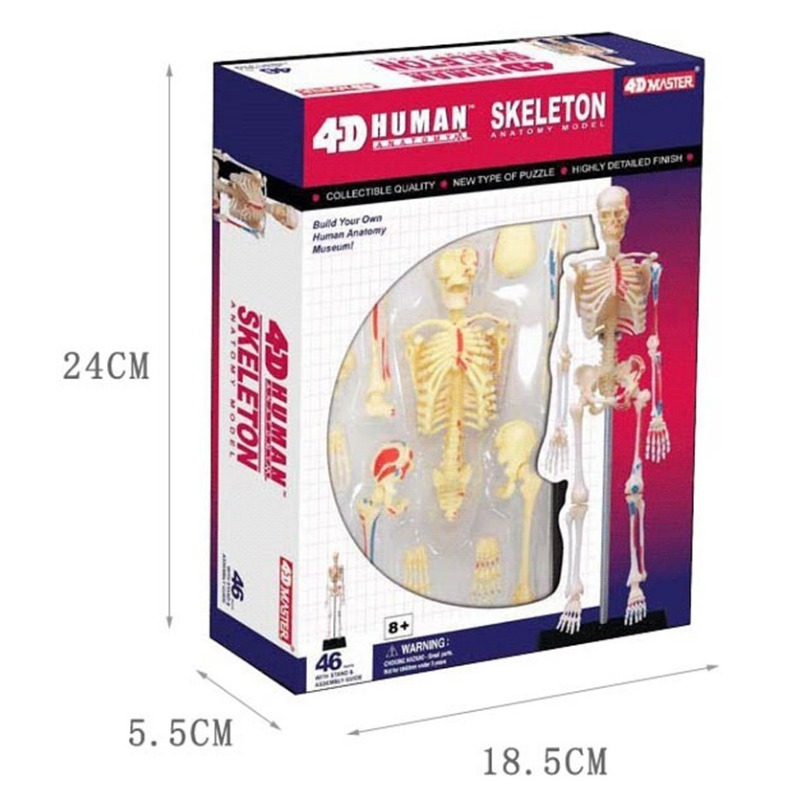4D Master Human Skeleton Anato - огляд і ціна Medical Lab And Science
